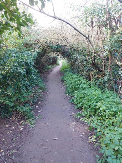 Clifftop Mews - Westcliff - - Pet Friendly! *