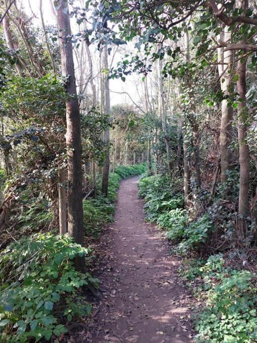 Сasa de vacaciones Clifftop Mews - Westcliff - - Pet Friendly!